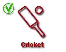 Cricket-yes-icon