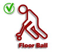 Floor-Ball-Yes-icon